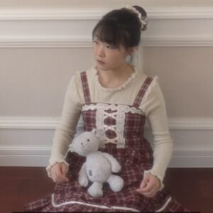 axes femme Autum Witer balletcore red brown checkered jumper dress