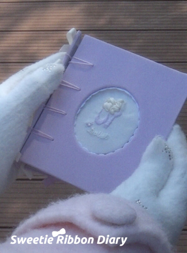 Ballet Shoe Embroidered M5 Notebook - 图片 14