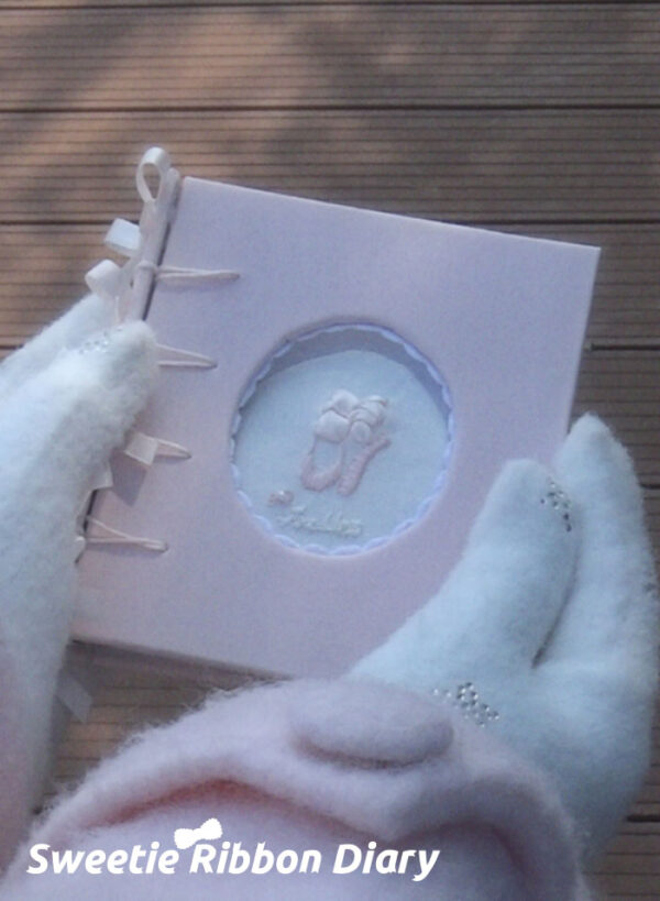 Ballet Shoe Embroidered M5 Notebook - 图片 15